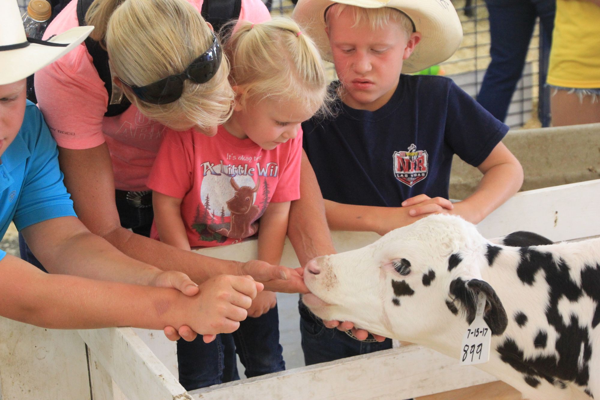 What's new at the Sioux Empire Fair