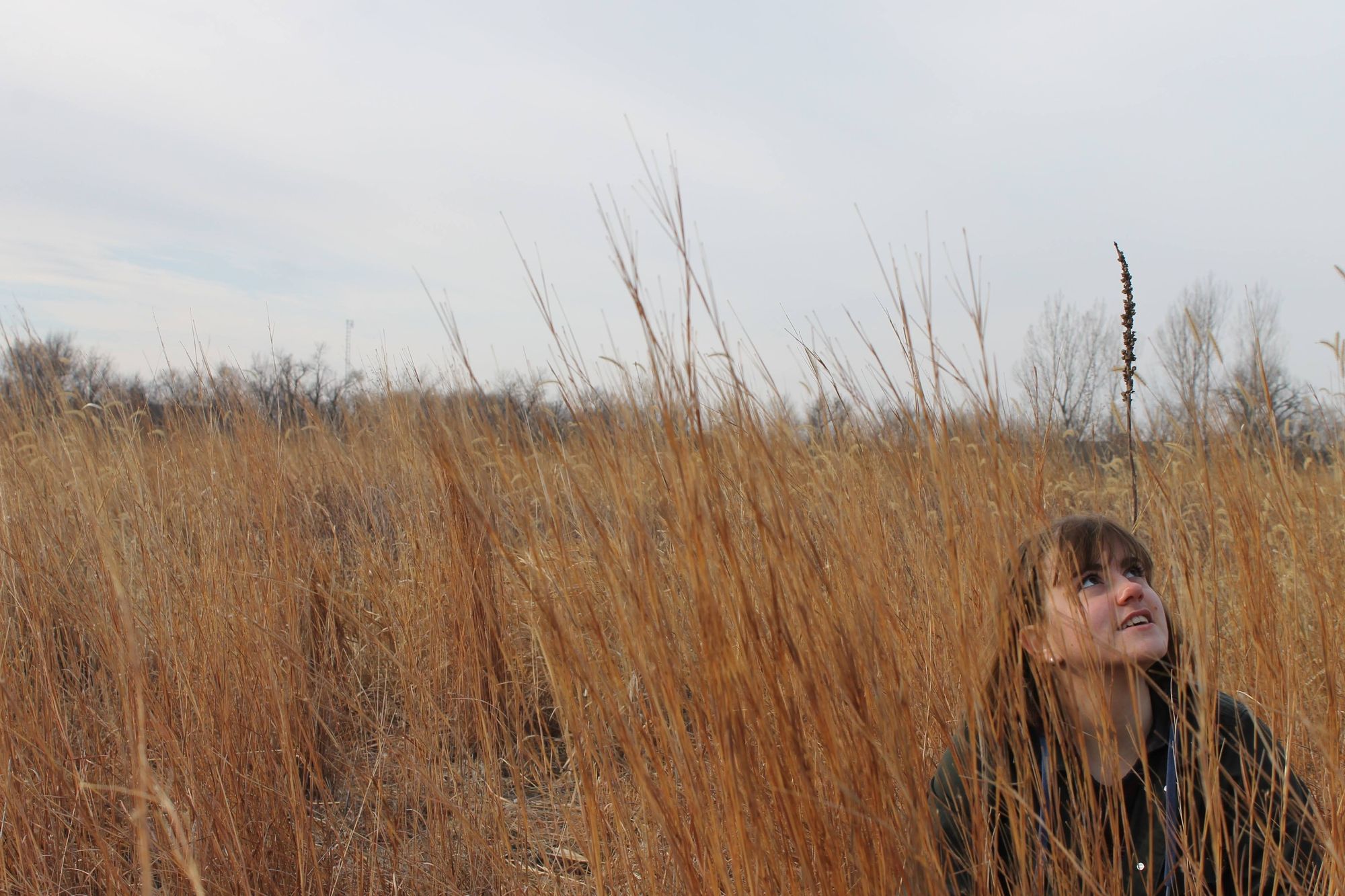 This student wants to help you bring native grasses, flowers to your yard