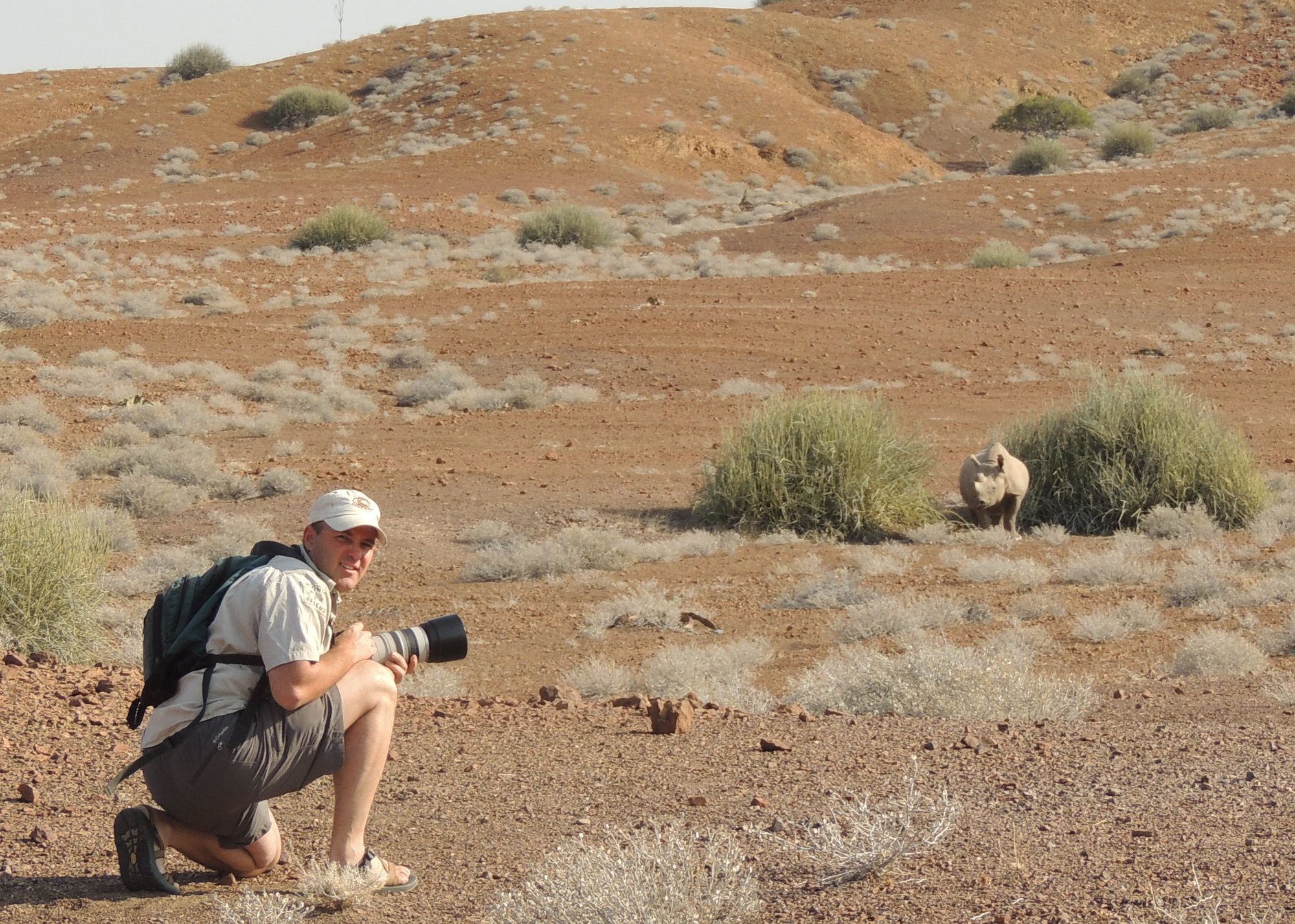 Learn how the zoo is helping save rhinos, snow leopards