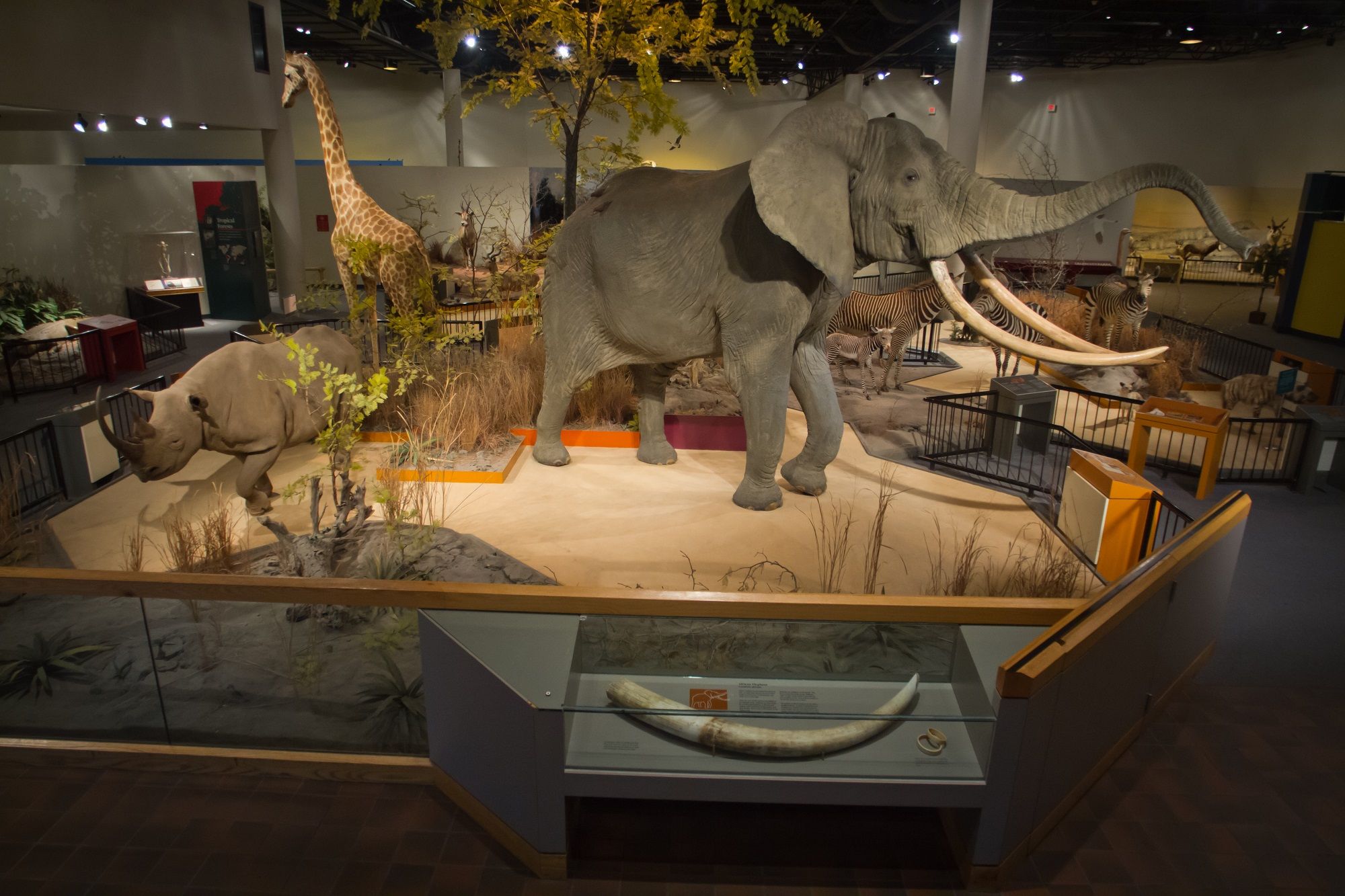 Great Plains Zoo closes Delbridge Museum