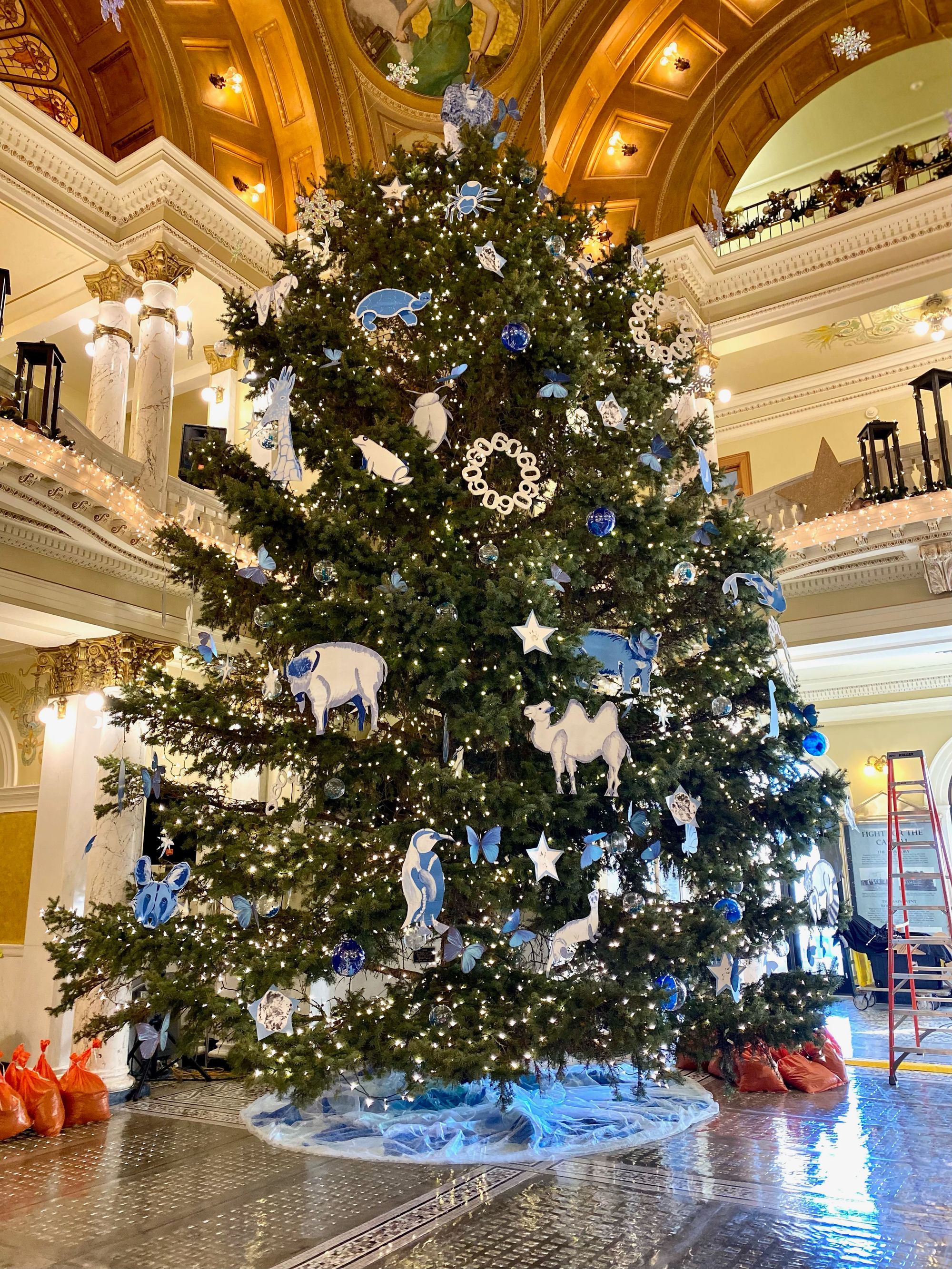 How the zoo decorated South Dakota's most prominent Christmas tree