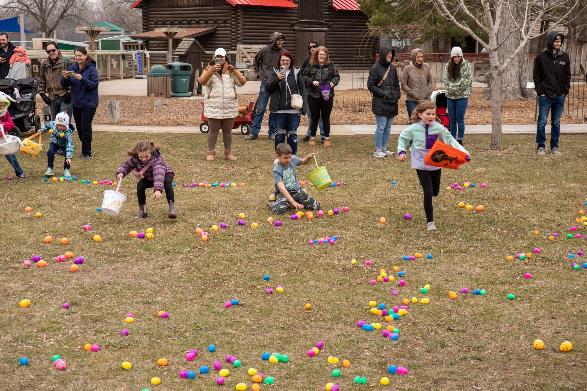 Simplified: School board, showtime and the hunt is on