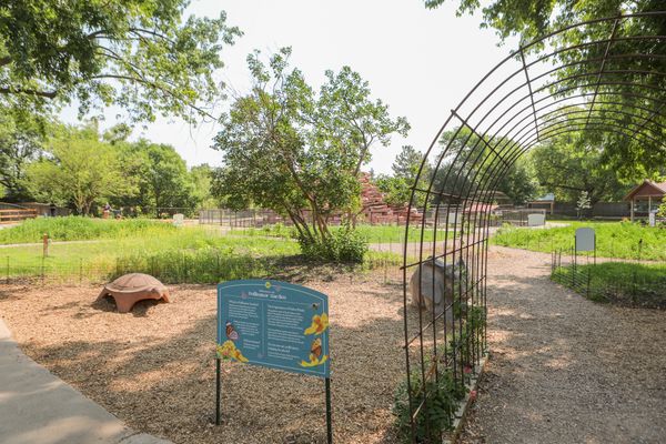 How the zoo and butterfly house are doing more to help pollinators