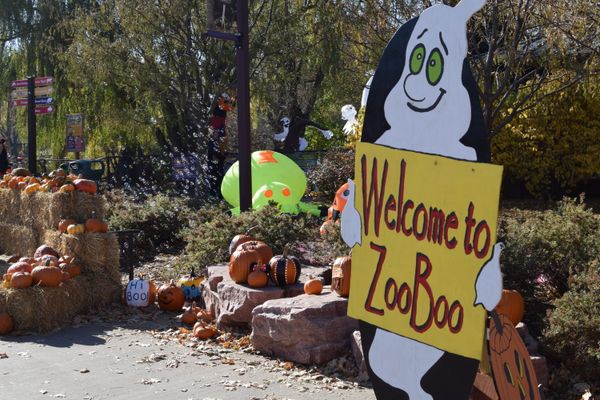 How the zoo and butterfly house are celebrating spooky season