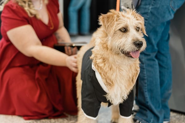 The Humane Society has a lot to celebrate this year, and you can be a part of it