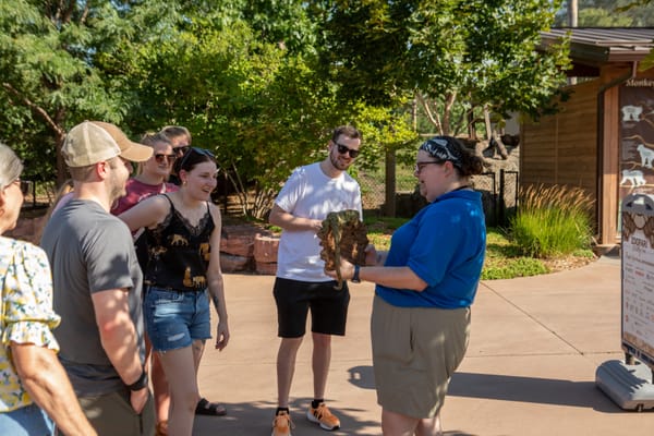Feed a giraffe, grab a drink, name a penguin – it's all at Zoofari