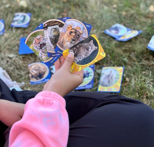 This limited-edition stocking stuffer supports animal conservation