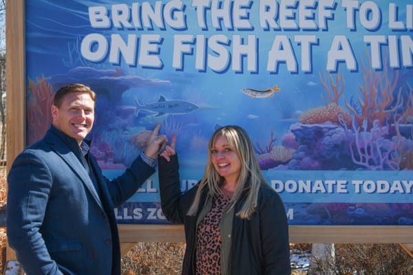 Simplified: Money for sharks, students