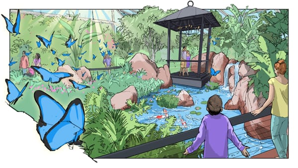 You can book your wedding in the new butterfly garden