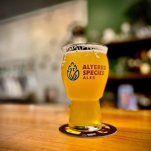 Simplified: Mash, memorials and mapping future schools